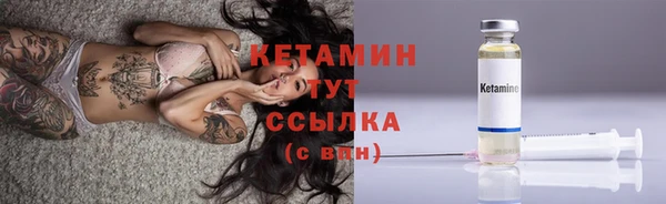 прущие грибы Сатка