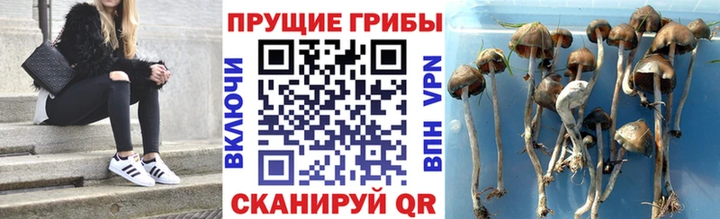 площадка Telegram  Белоозёрский  Галлюциногенные грибы MAGIC MUSHROOMS 